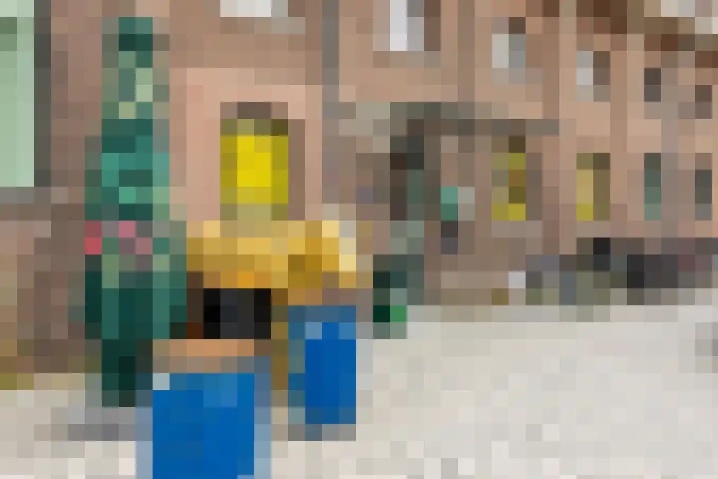 Pladellastraat 3 E Haarlem thumbnail 32