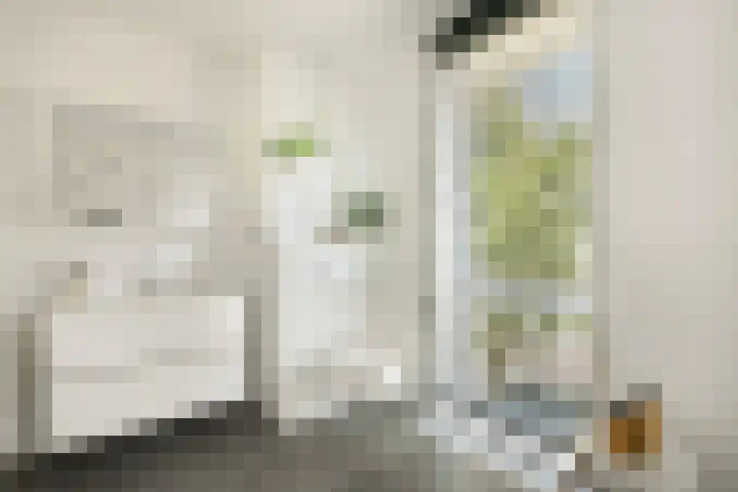 Pladellastraat 60 Haarlem thumbnail 25