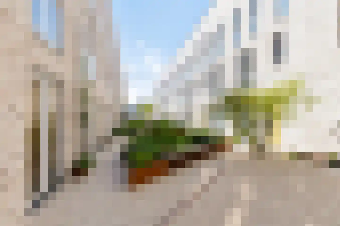 Pladellastraat 7 P Haarlem thumbnail 36