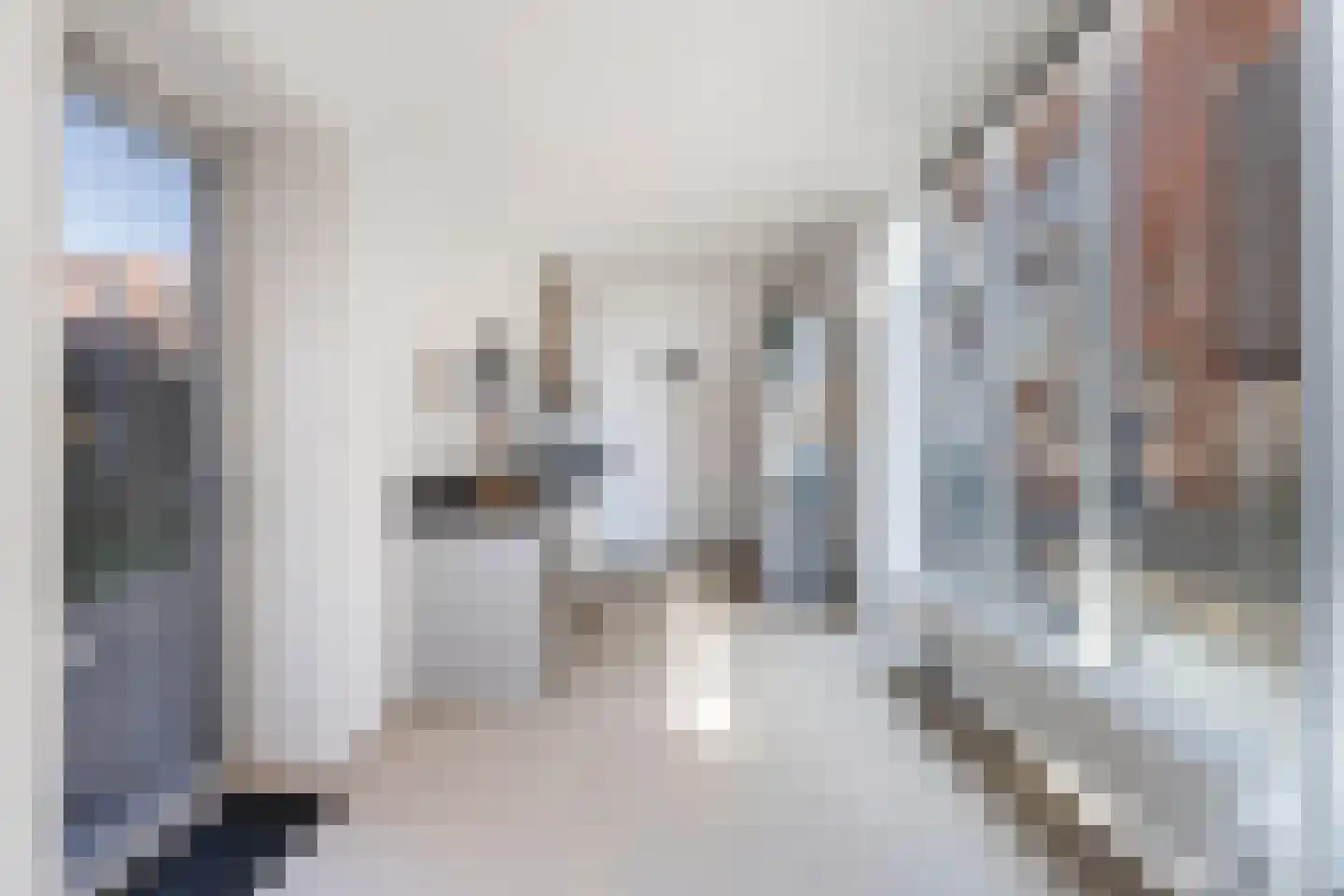 Plaet 8 Papendrecht thumbnail 13