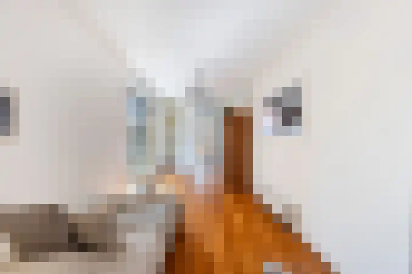 Plaet 8 Papendrecht thumbnail 24