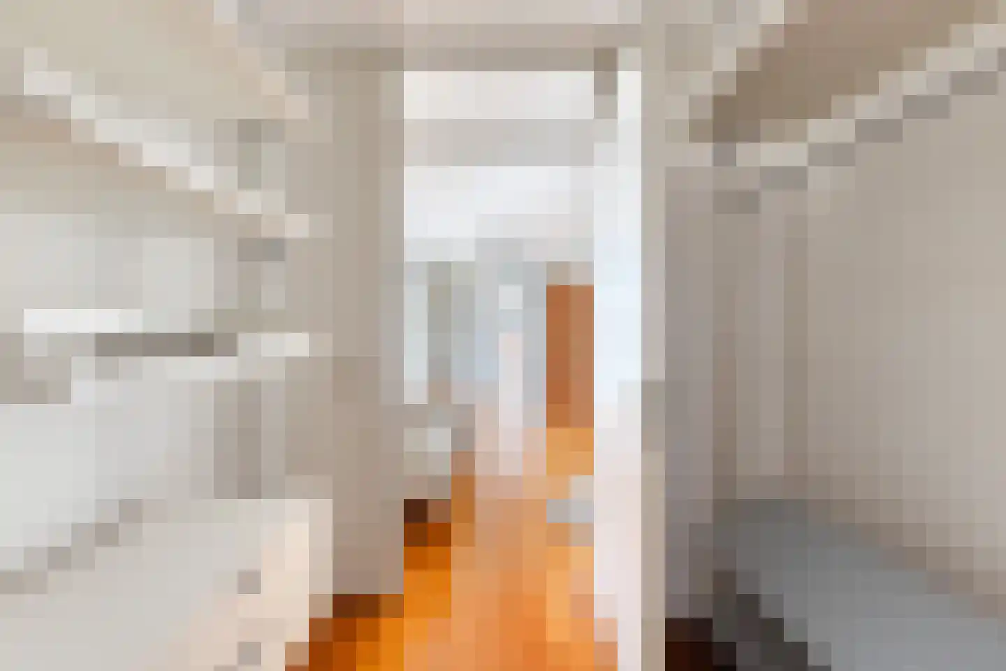 Plaet 8 Papendrecht thumbnail 26