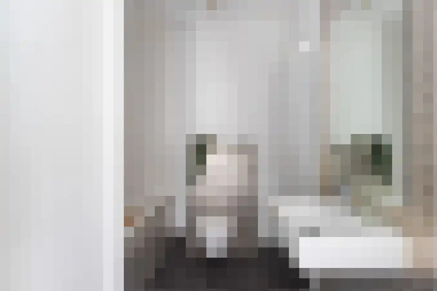 Plaet 8 Papendrecht thumbnail 28