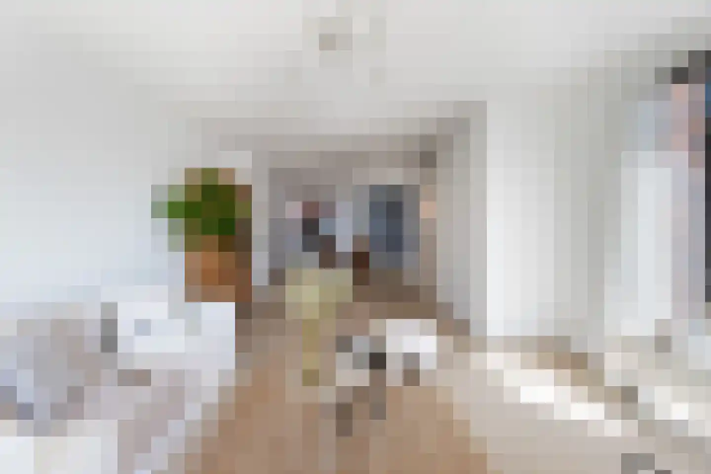Plaet 8 Papendrecht thumbnail 6