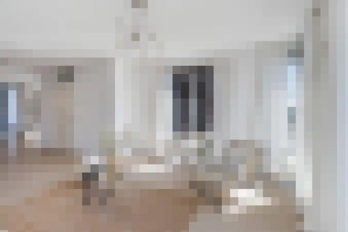 Plaet 8 Papendrecht thumbnail 8