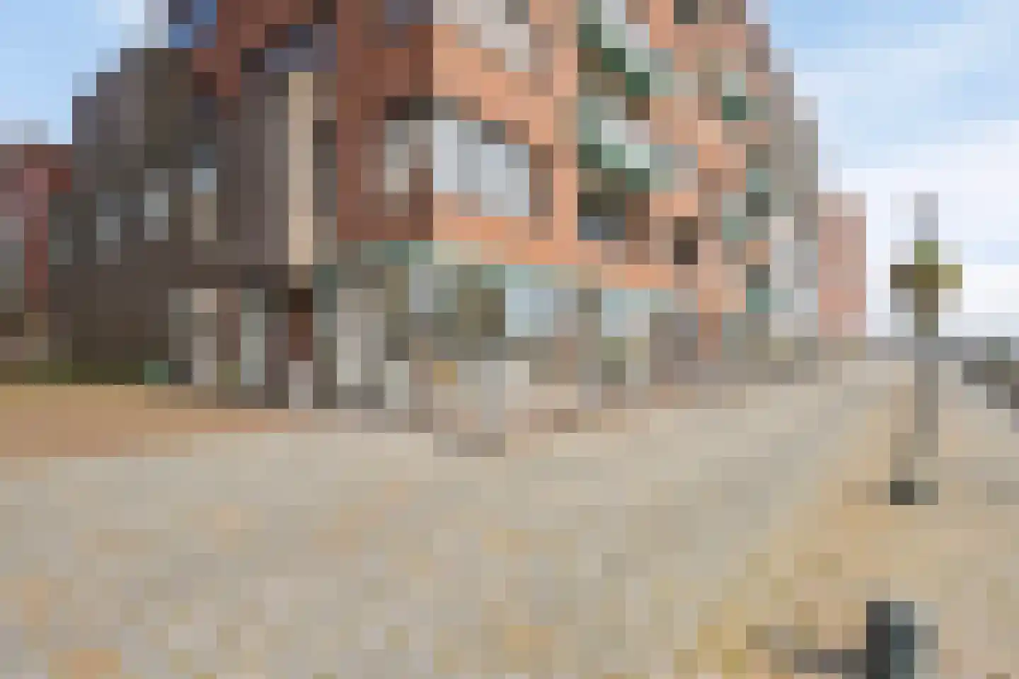 Plaet 9 en Papendrecht