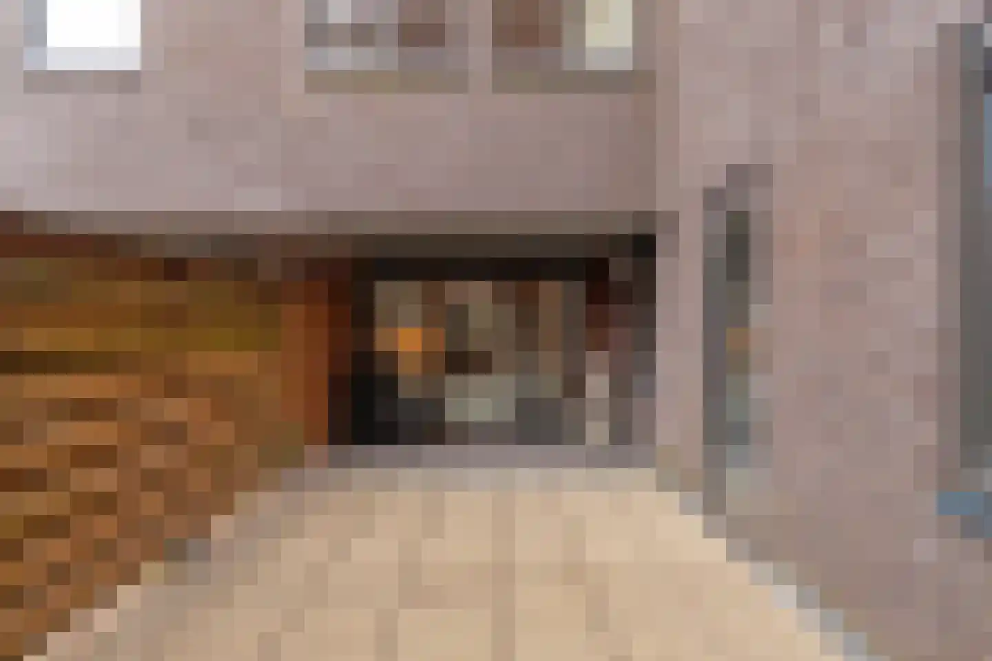 Plaet 9 Papendrecht thumbnail 44