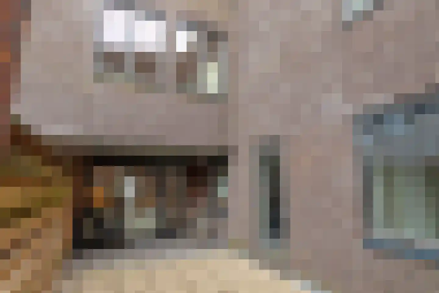 Plaet 9 Papendrecht thumbnail 45
