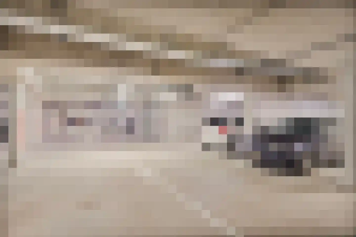 Plaet 9 Papendrecht thumbnail 47