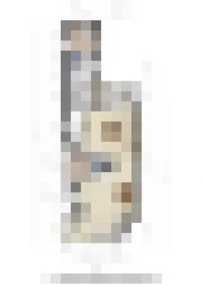Plaet 9 Papendrecht thumbnail 51