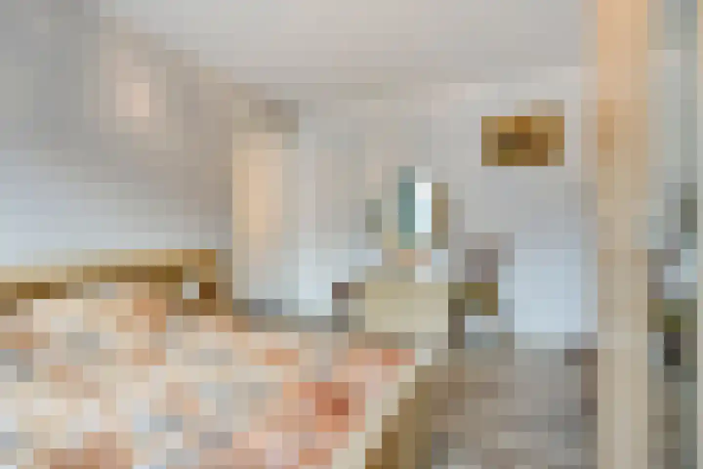 Plaggen 5 Odiliapeel thumbnail 14