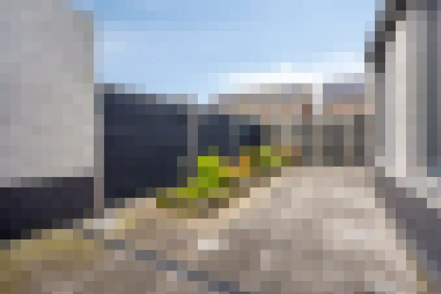 Plaggen 5 Odiliapeel thumbnail 20
