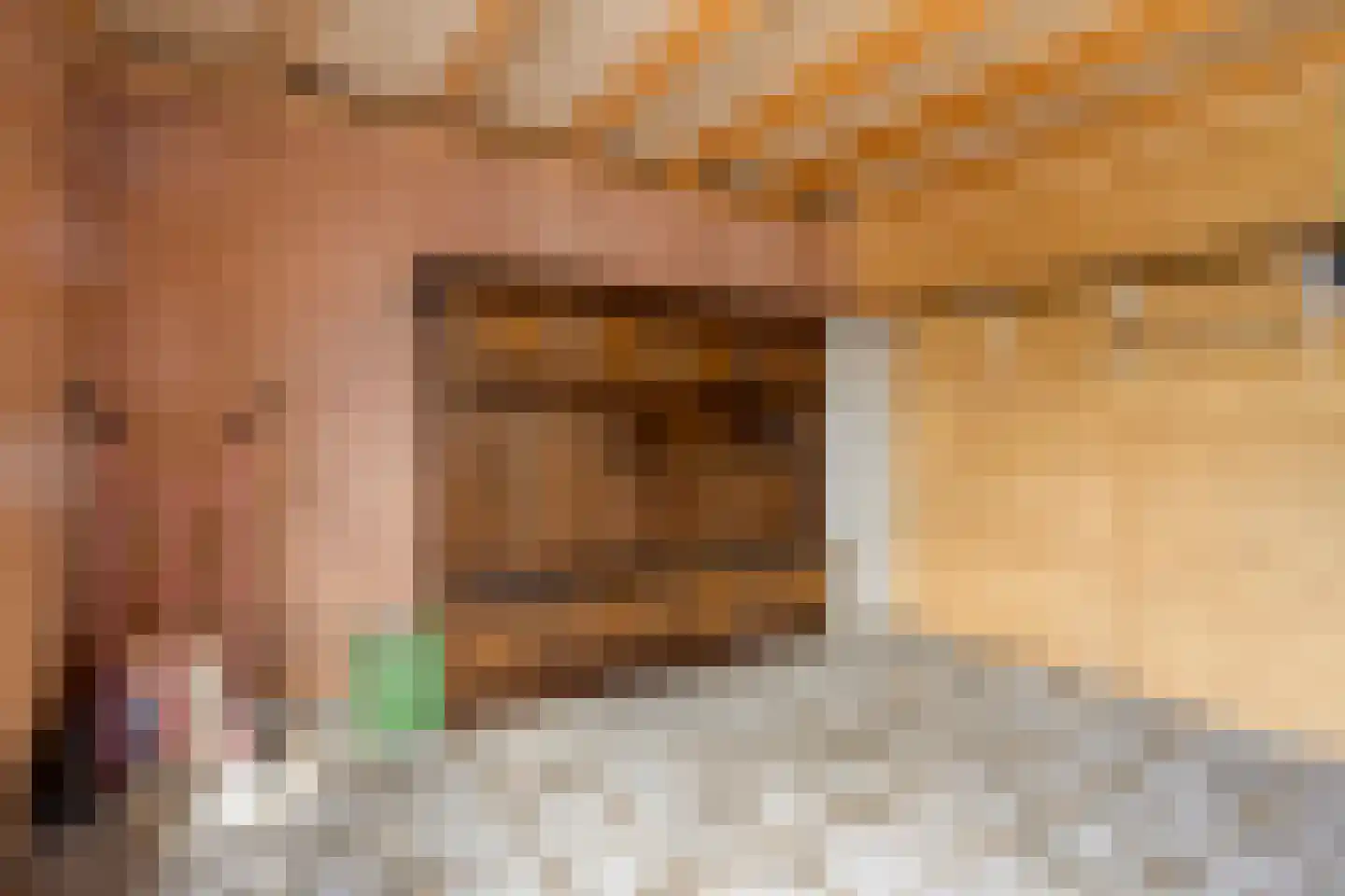 Plaggen 5 Odiliapeel thumbnail 23