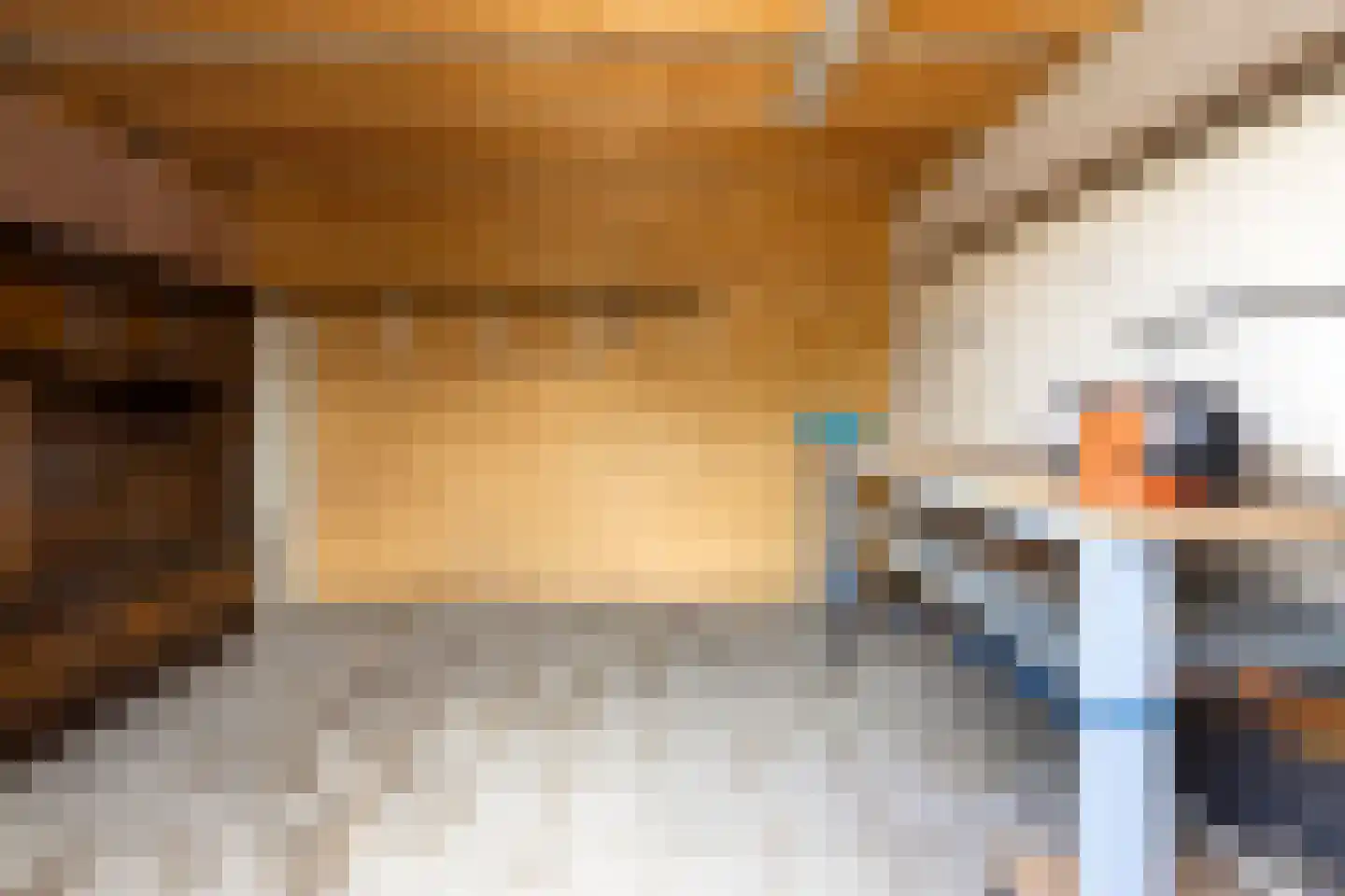 Plaggen 5 Odiliapeel thumbnail 24