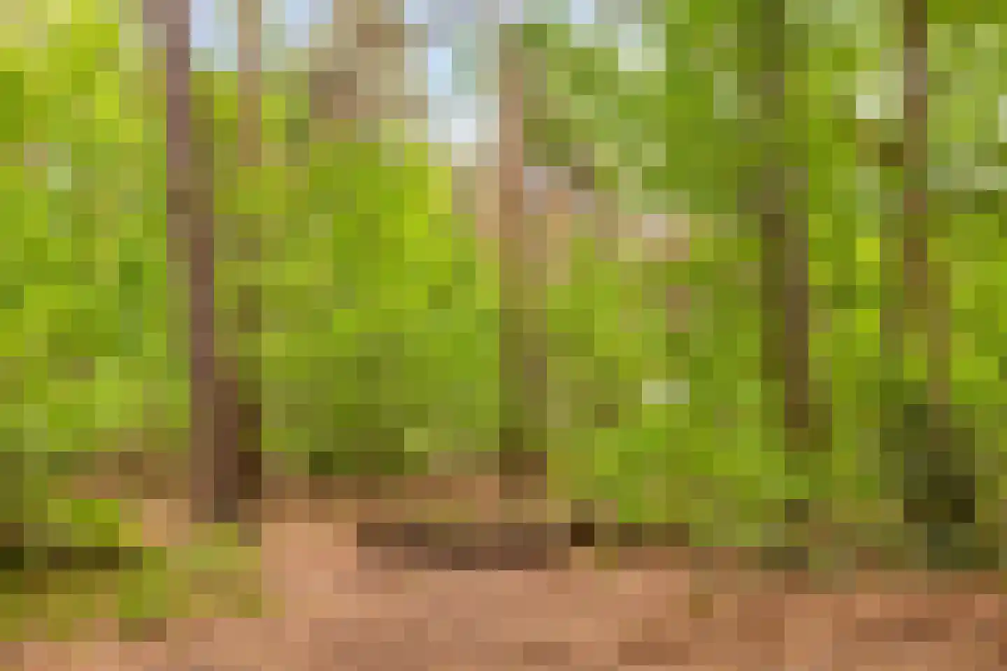 Plaggen 5 Odiliapeel thumbnail 28