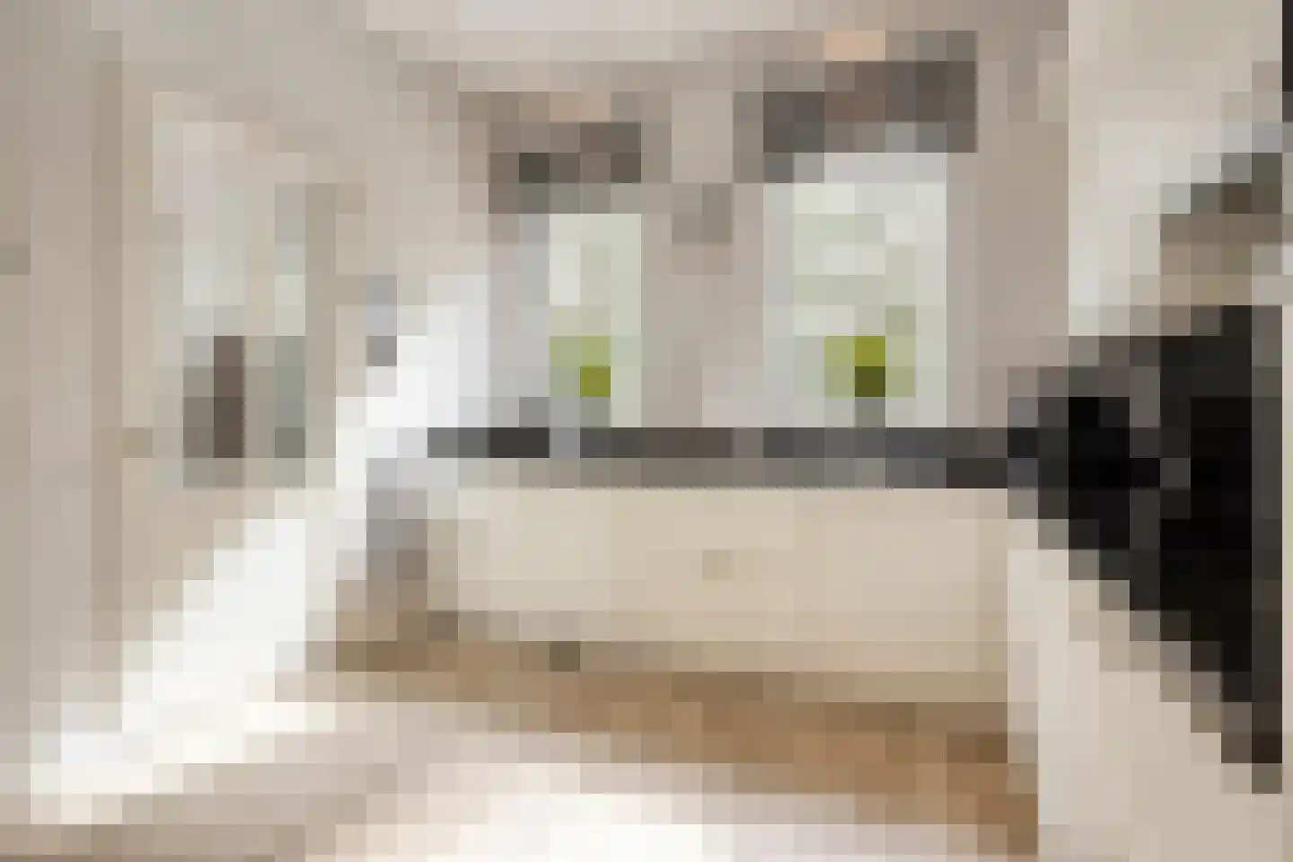 Plaggen 5 Odiliapeel thumbnail 4