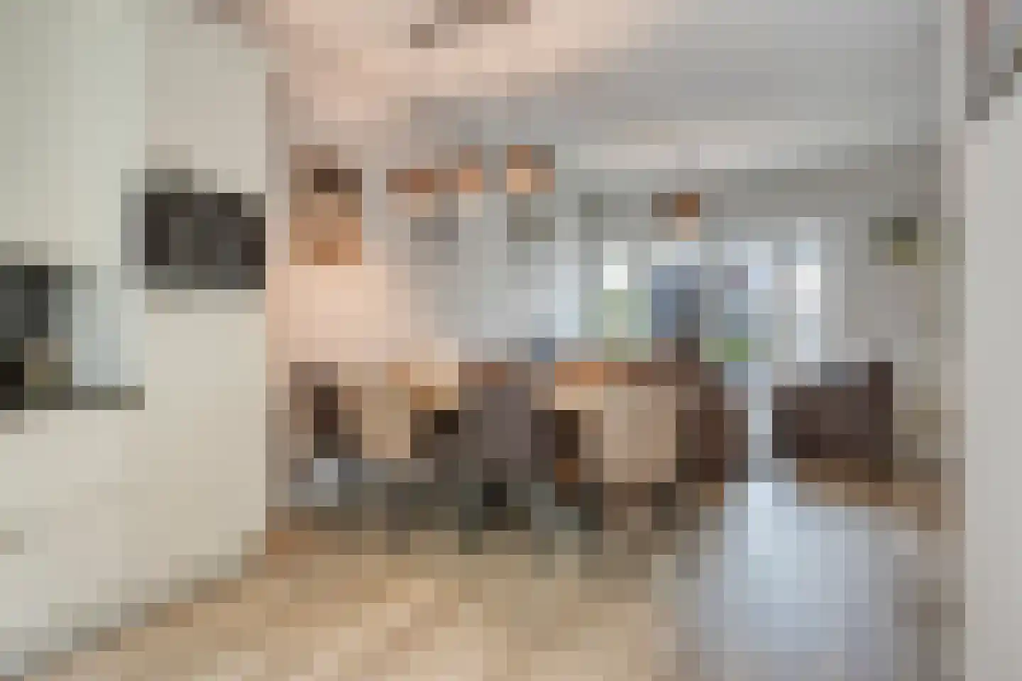 Plaggen 5 Odiliapeel thumbnail 5