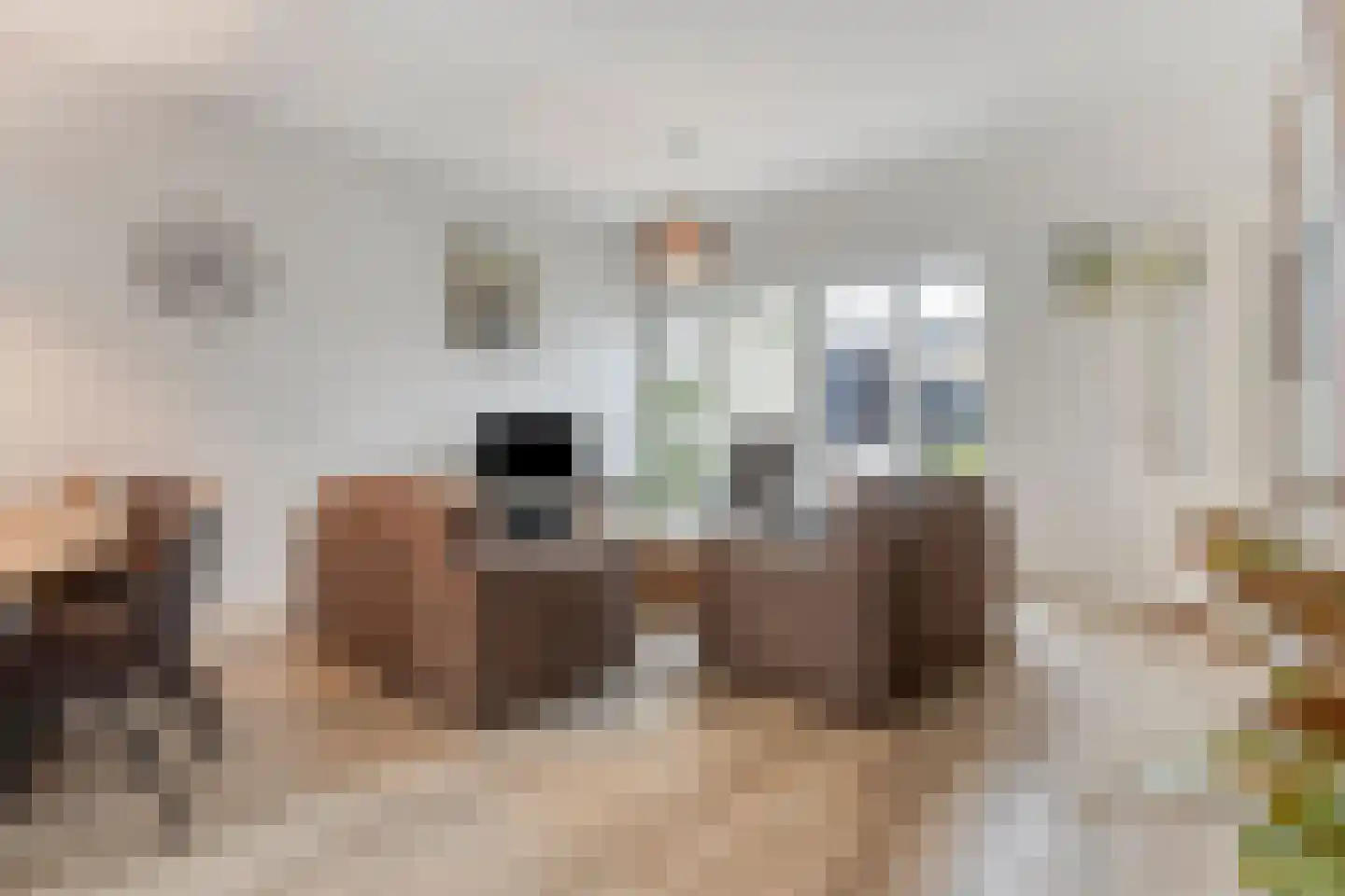 Plaggen 5 Odiliapeel thumbnail 6