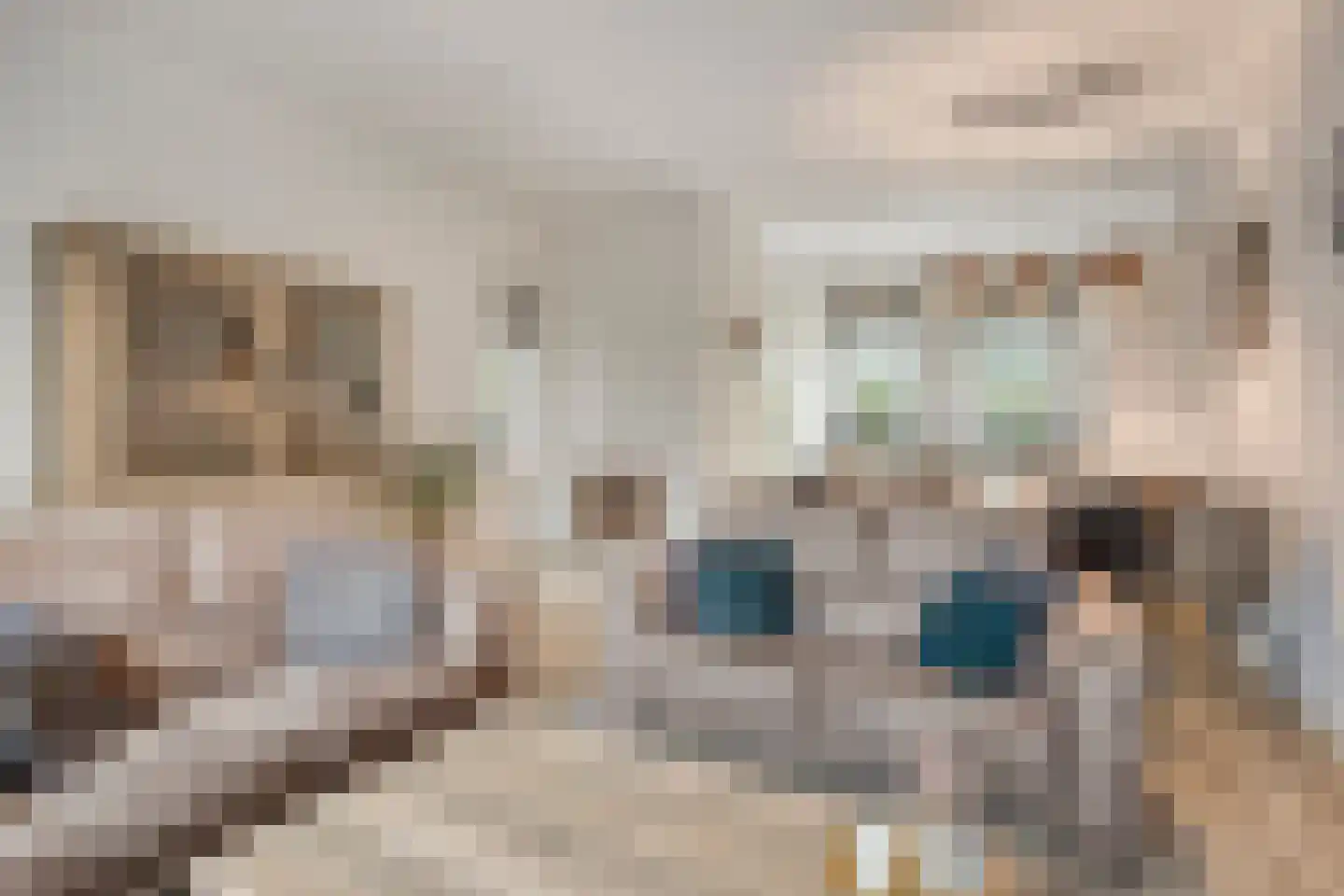 Plaggen 5 Odiliapeel thumbnail 8