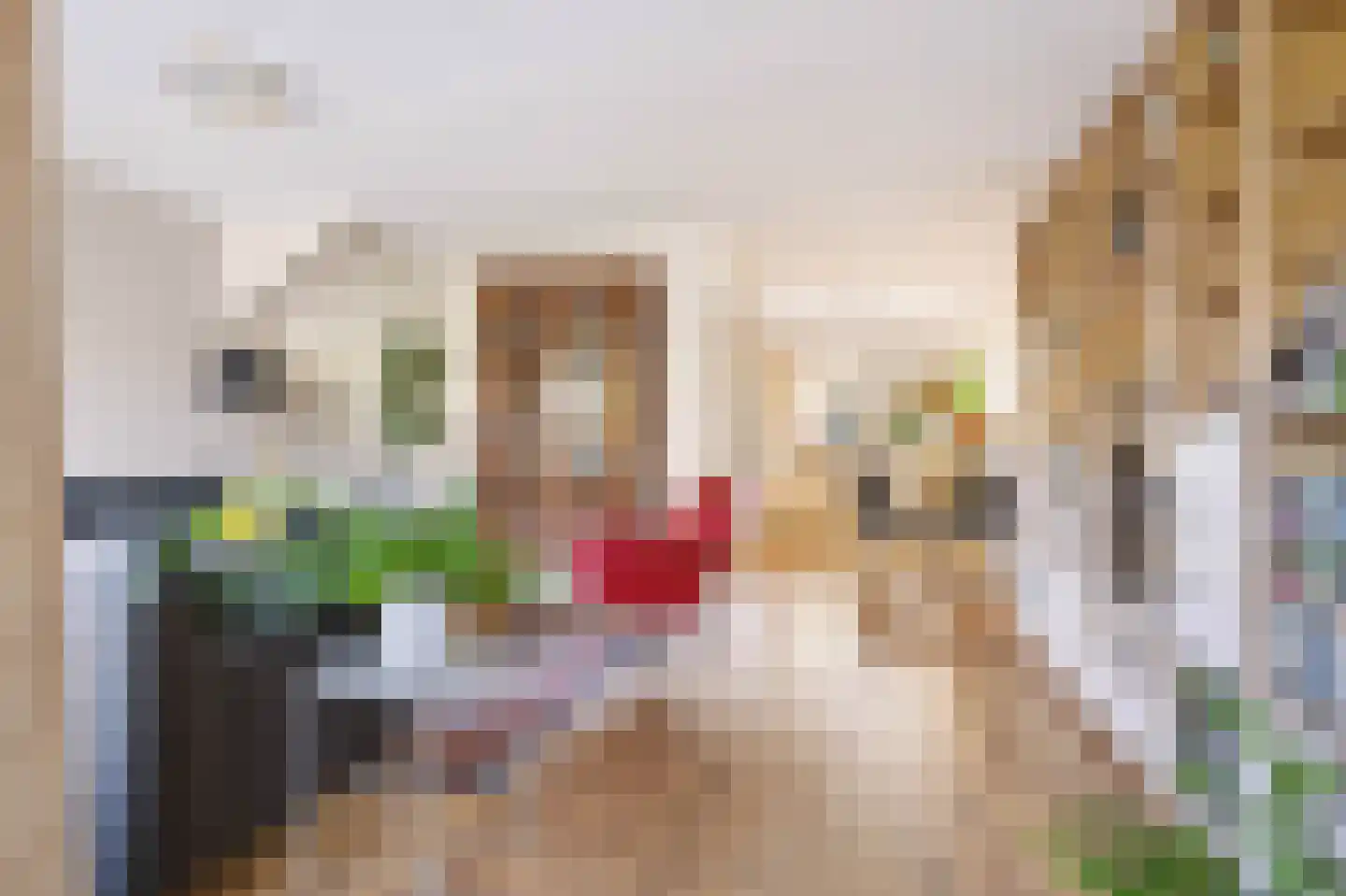 Plaggenmeierslaan 15 Voorthuizen thumbnail 13