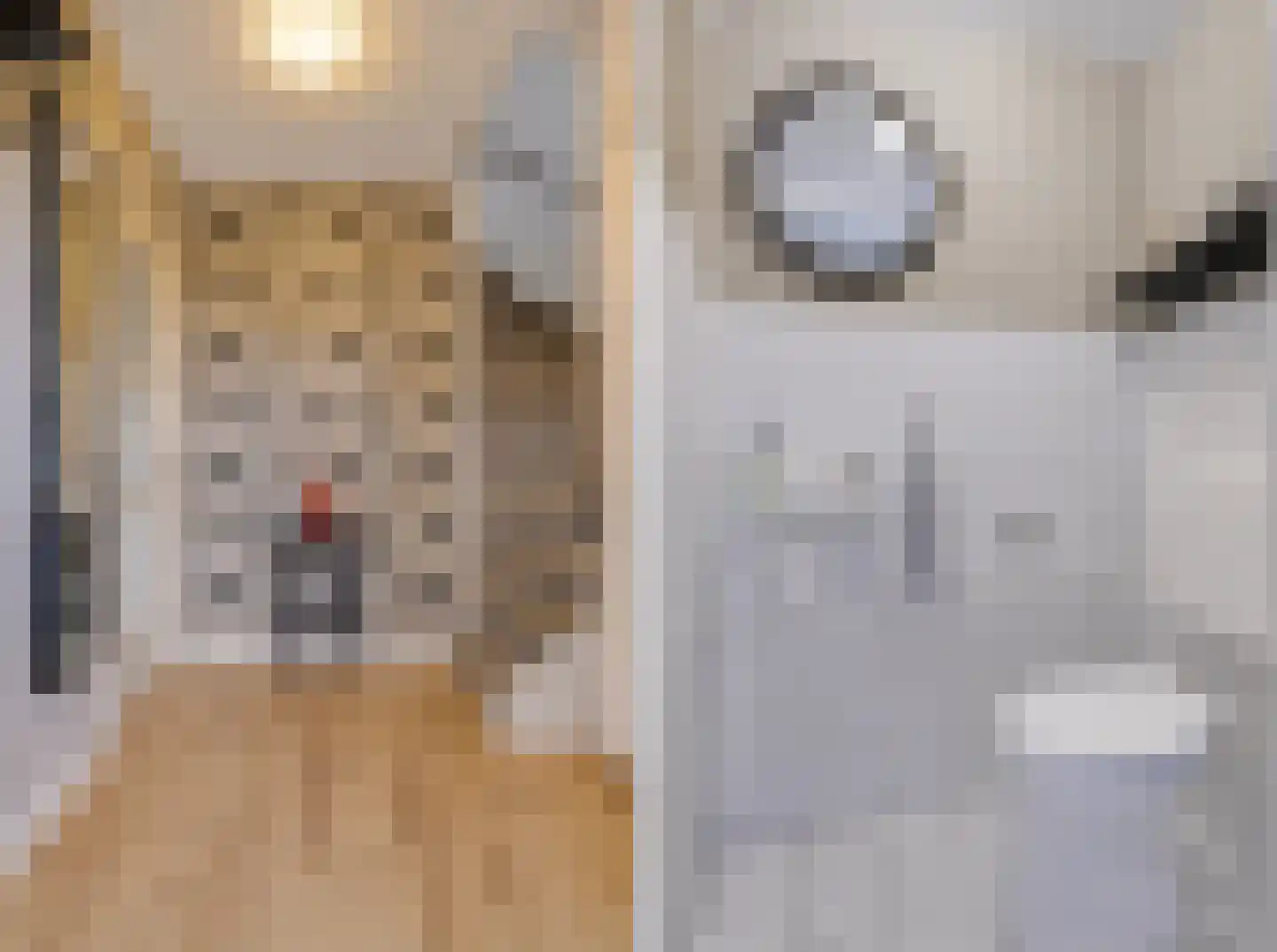 Plaggenmeierslaan 15 Voorthuizen thumbnail 19