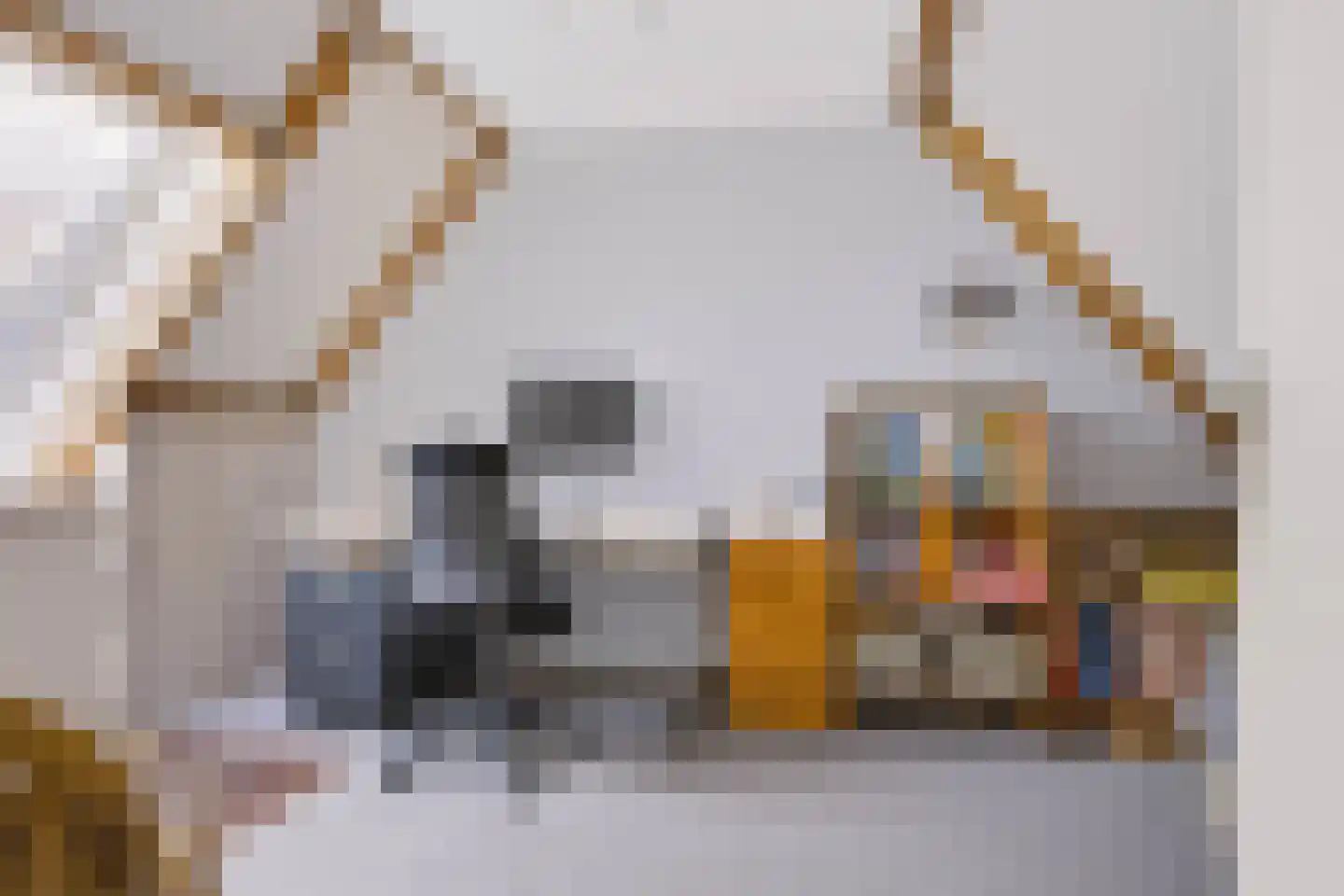 Plaggenmeierslaan 15 Voorthuizen thumbnail 28