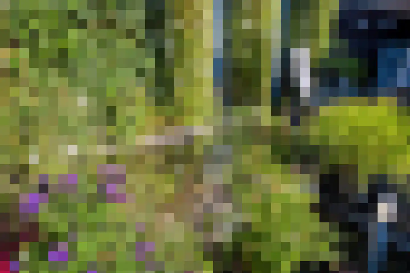 Plaggenmeierslaan 15 Voorthuizen thumbnail 36