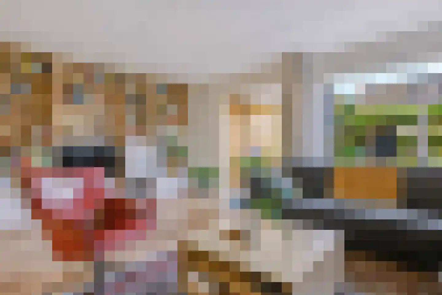 Plaggenmeierslaan 15 Voorthuizen thumbnail 9