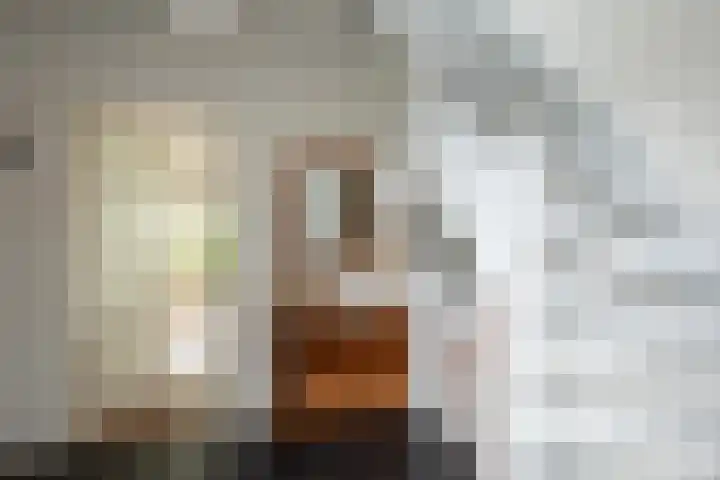 Plaggenmeierslaan 49 Voorthuizen thumbnail 14