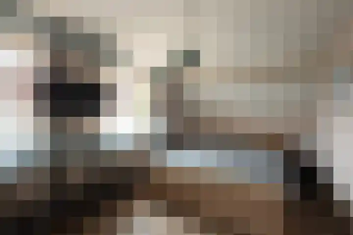 Plaggenmeierslaan 49 Voorthuizen thumbnail 17