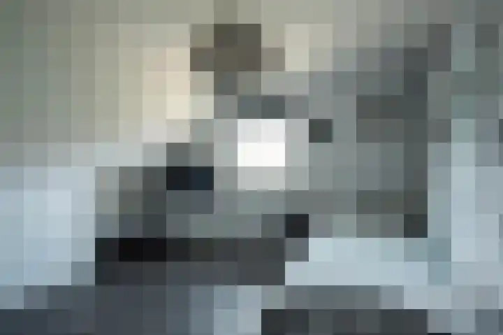 Plaggenmeierslaan 49 Voorthuizen thumbnail 18