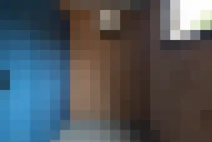 Plaggenmeierslaan 49 Voorthuizen thumbnail 25