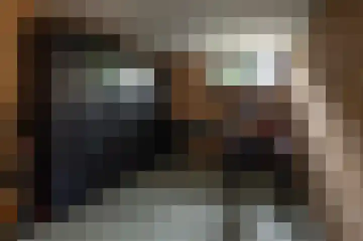 Plaggenmeierslaan 49 Voorthuizen thumbnail 26