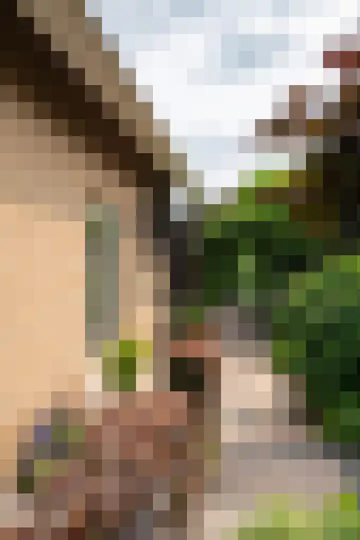 Plaggenmeierslaan 49 Voorthuizen thumbnail 27