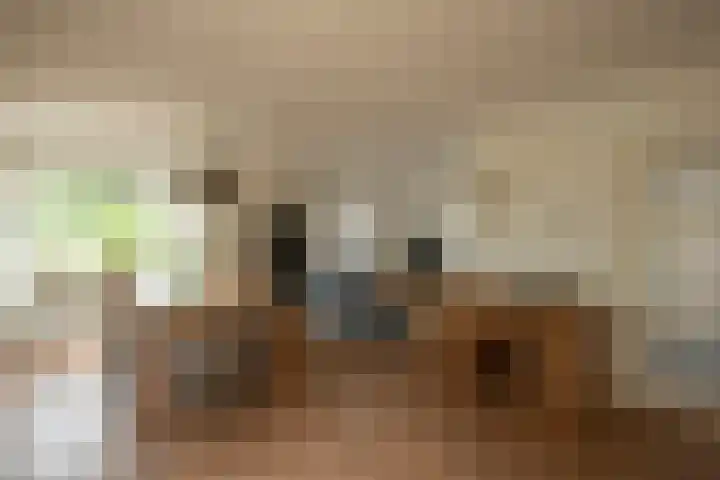 Plaggenmeierslaan 49 Voorthuizen foto 3