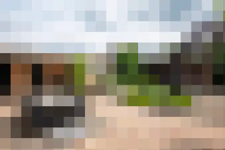 Plaggenmeierslaan 49 Voorthuizen thumbnail 30