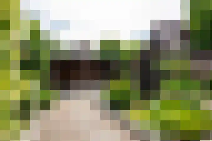 Plaggenmeierslaan 49 Voorthuizen thumbnail 31