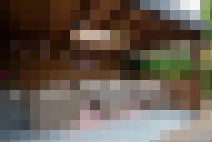 Plaggenmeierslaan 49 Voorthuizen thumbnail 33