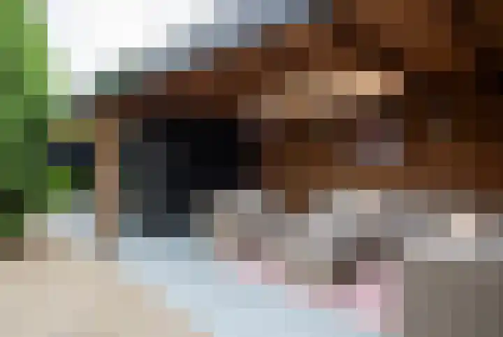 Plaggenmeierslaan 49 Voorthuizen thumbnail 34