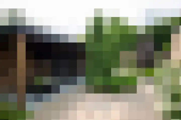 Plaggenmeierslaan 49 Voorthuizen thumbnail 35