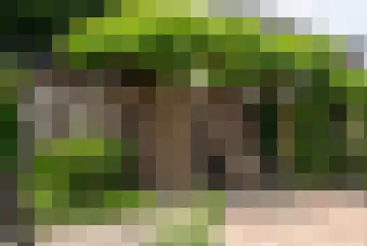 Plaggenmeierslaan 49 Voorthuizen thumbnail 36
