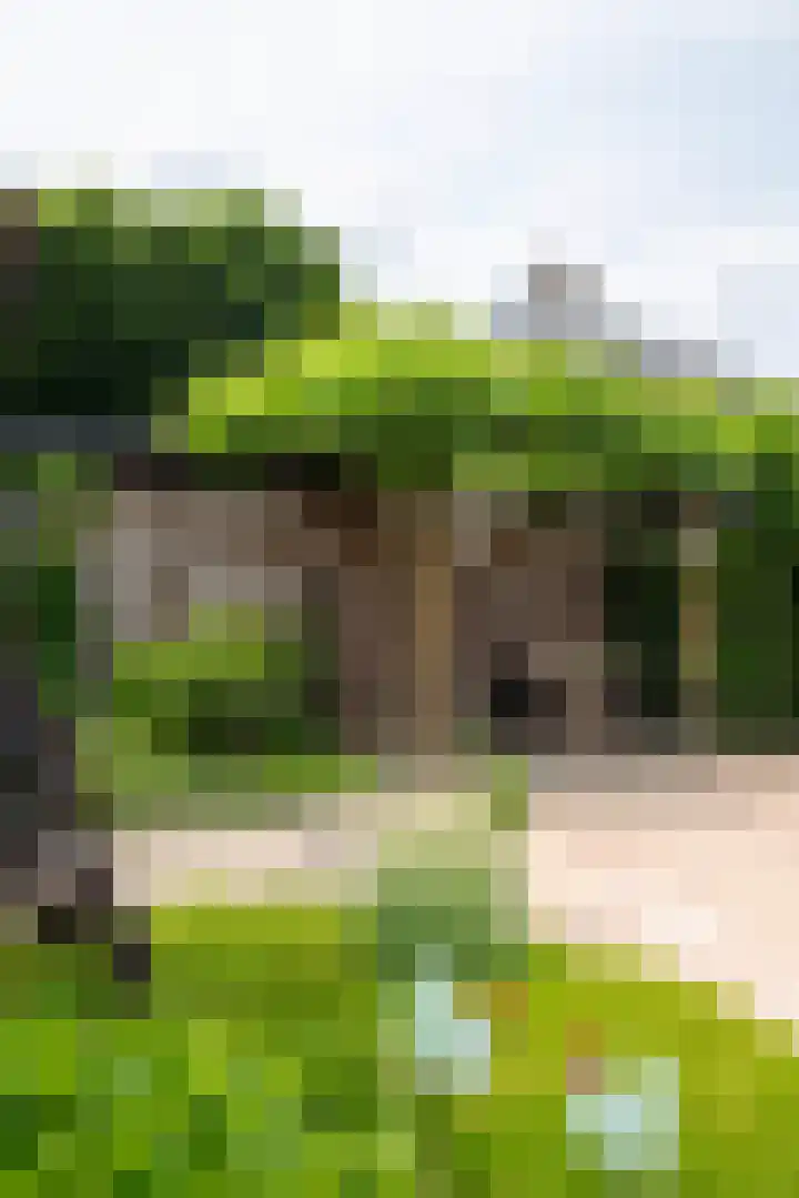 Plaggenmeierslaan 49 Voorthuizen thumbnail 37