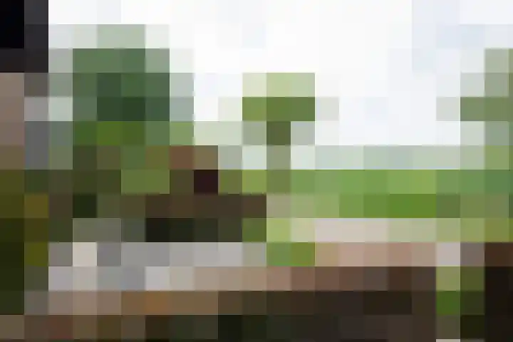 Plaggenmeierslaan 49 Voorthuizen thumbnail 39