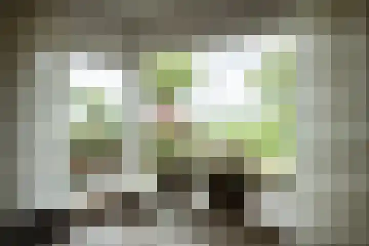 Plaggenmeierslaan 49 Voorthuizen thumbnail 4