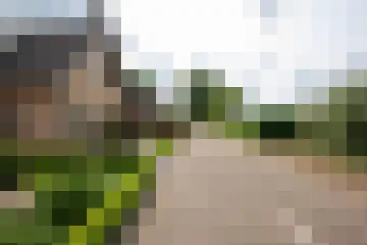 Plaggenmeierslaan 49 Voorthuizen thumbnail 41