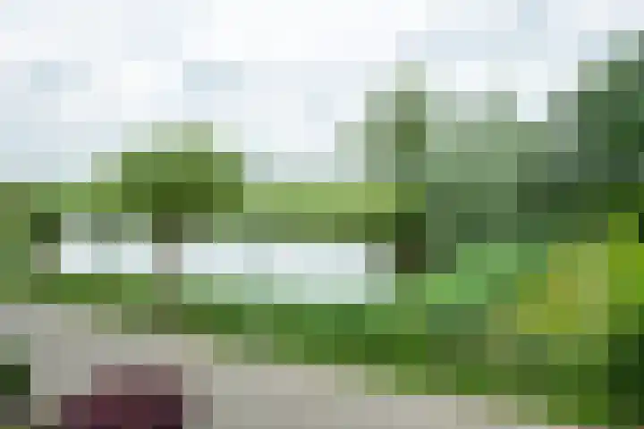 Plaggenmeierslaan 49 Voorthuizen thumbnail 42