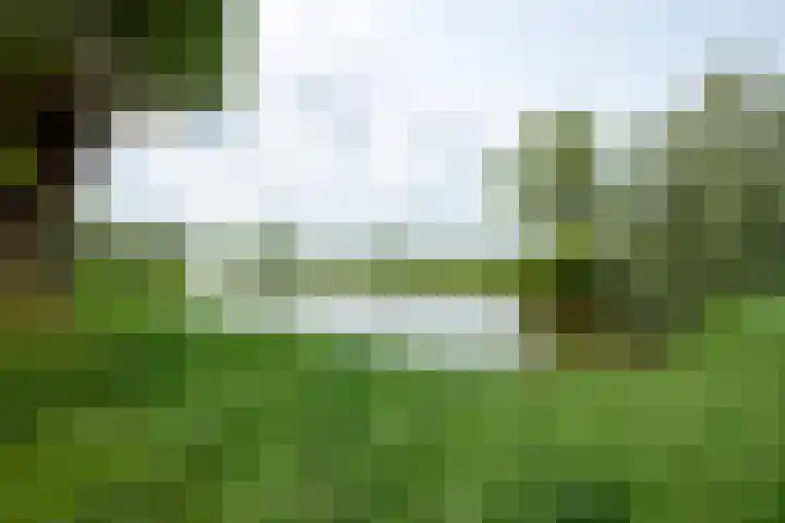 Plaggenmeierslaan 49 Voorthuizen thumbnail 43