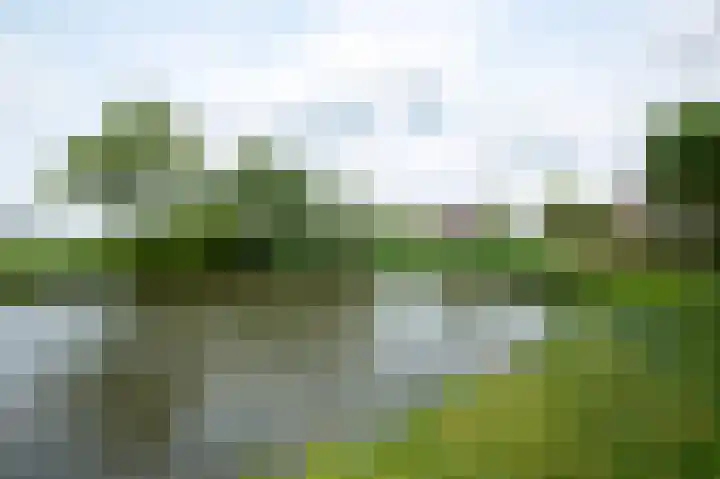 Plaggenmeierslaan 49 Voorthuizen thumbnail 44