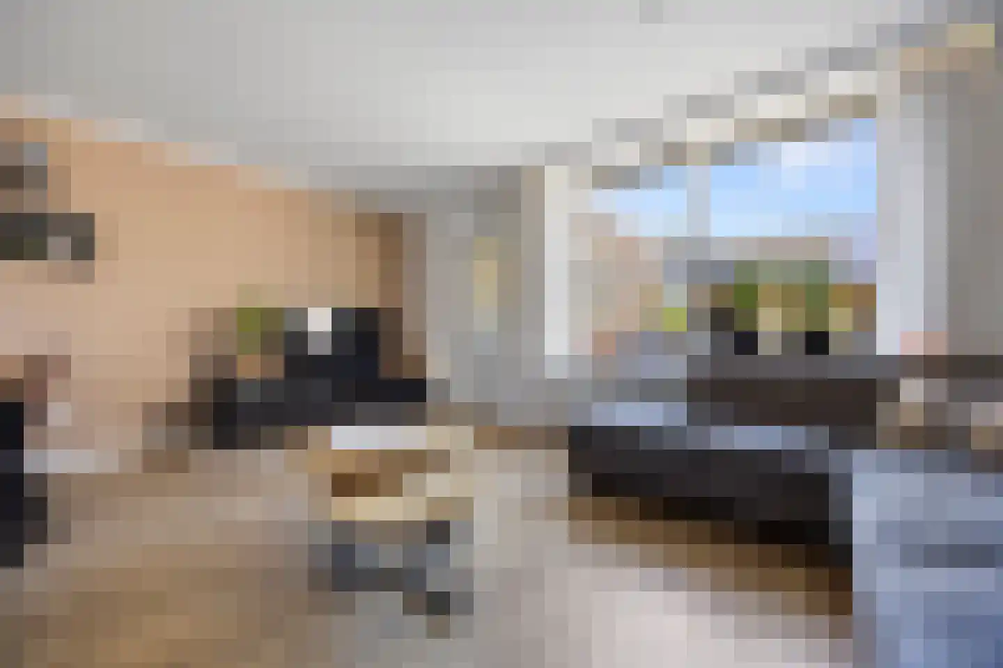 Plaggenmeierslaan 5 Voorthuizen thumbnail 10