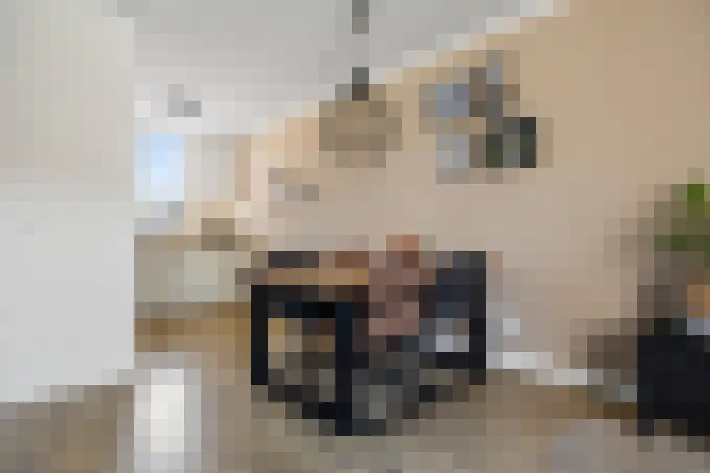 Plaggenmeierslaan 5 Voorthuizen thumbnail 11